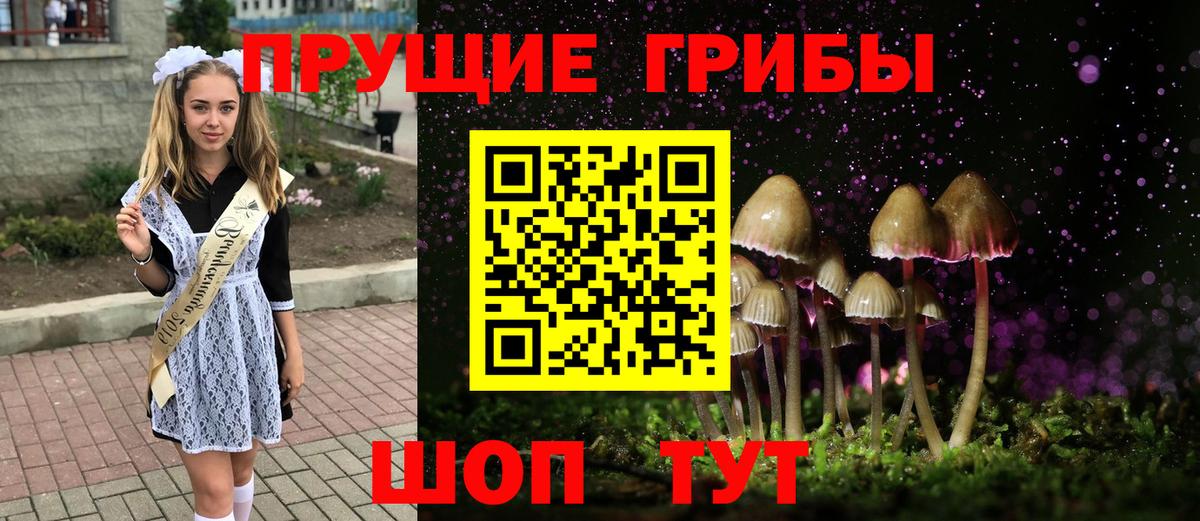 Псилоцибиновые грибы мицелий Чита